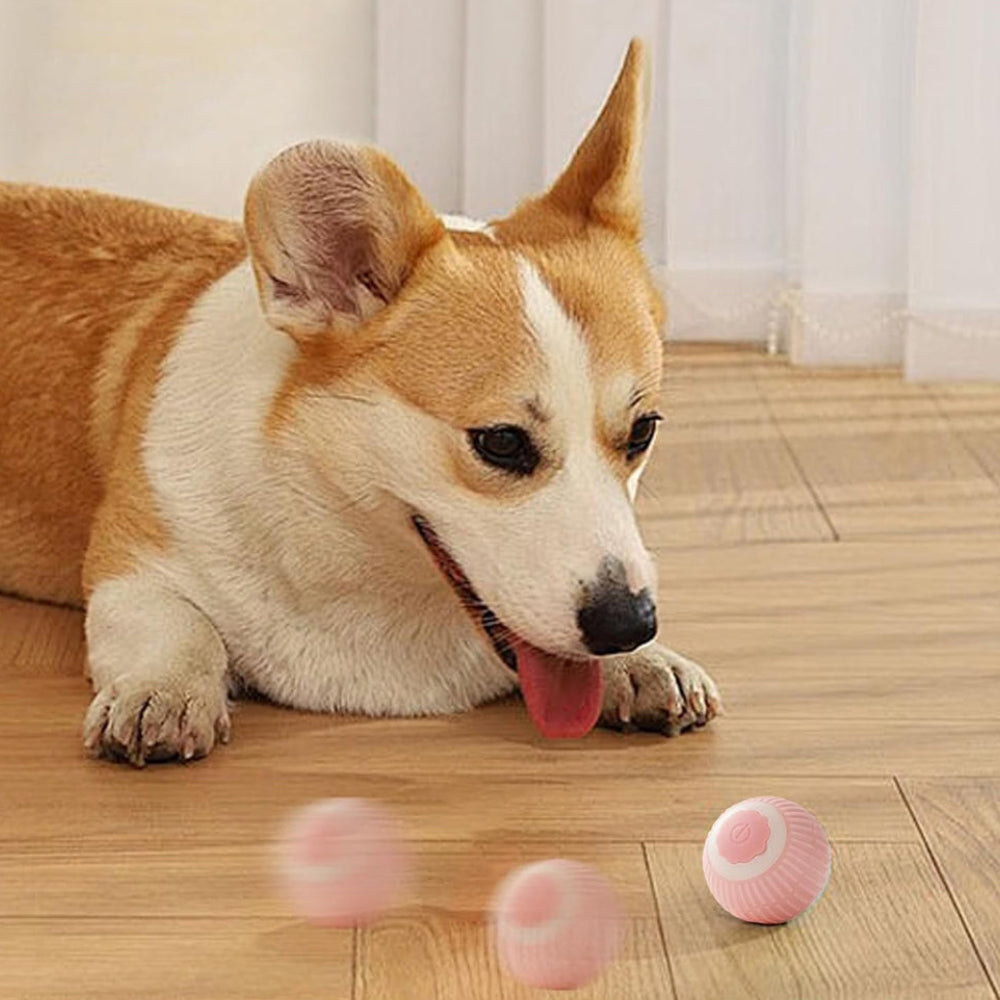 Pawvera PlayBall USB rechargeable dog toy - Pink and Green variants